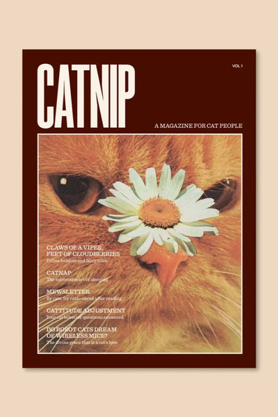 the cover of catnip magazine on a cream background.