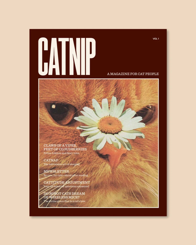 the cover of catnip magazine on a cream background.