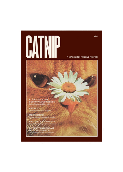 Magazine cover titled 'Catnip' with a cat holding a flower on a white background