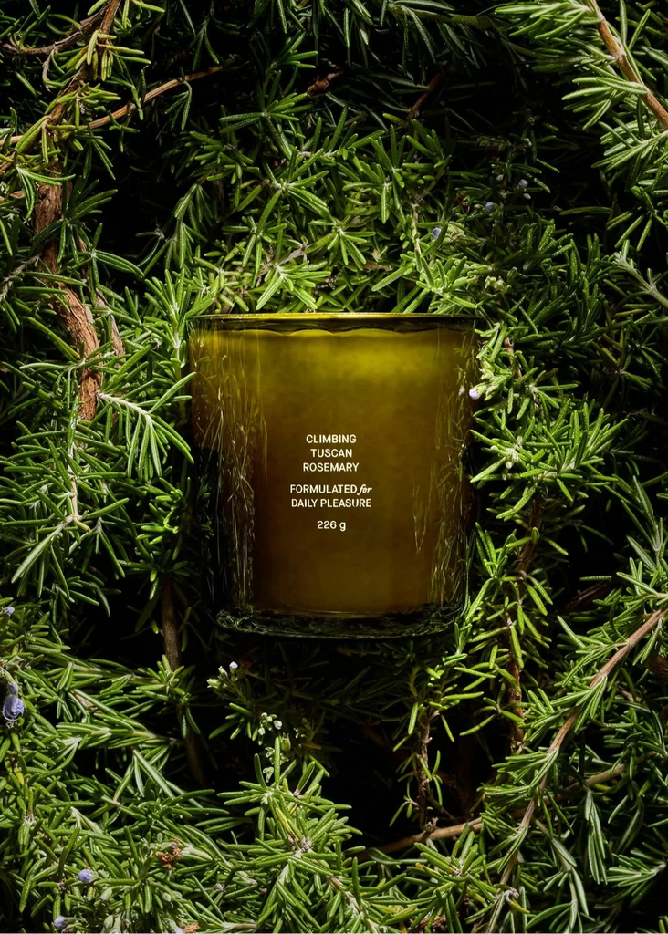 tuscan climbing rosemary scented candle in a glass container on a bed of fresh rosemary 