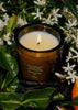 Candle in a decorative container with jasmine flowers and leaves in the background