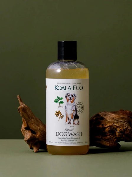 A bottle of natural dog wash from Koala Eco sits in front of an olive green background, with a branch resting behind the bottle.