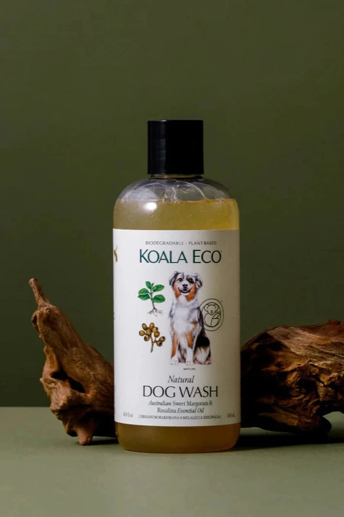 A bottle of natural dog wash from Koala Eco sits in front of an olive green background, with a branch resting behind the bottle.