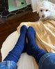 We see the legs of a person sitting on a bed wearing a pair of Navy Cottage Socks from Le Bon Shoppe. A small white dog lays at their feet