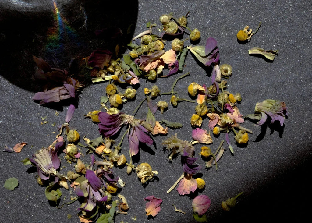 Dried flowers and leaves on a dark surface