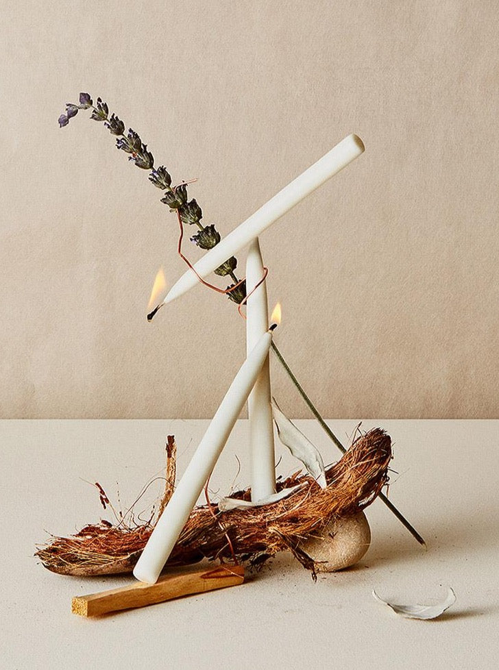 lit taper candles are artfully balanced on various botanical elements
